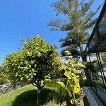 Dalyan Risus Bed and breakfast 4*