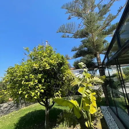 Dalyan Risus Panzió 4*