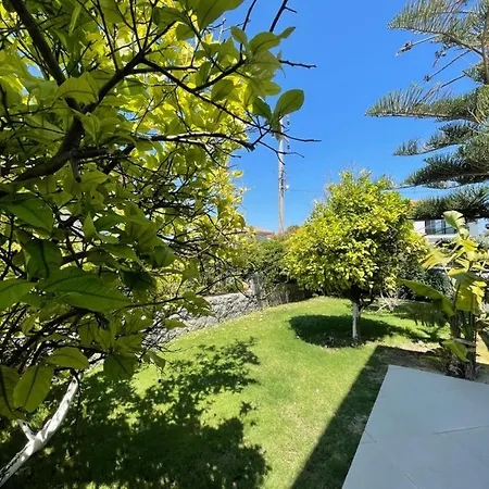 Dalyan Risus 住宿加早餐酒店 4*