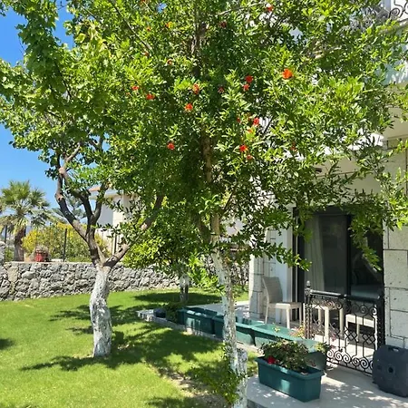 Panzió Dalyan Risus