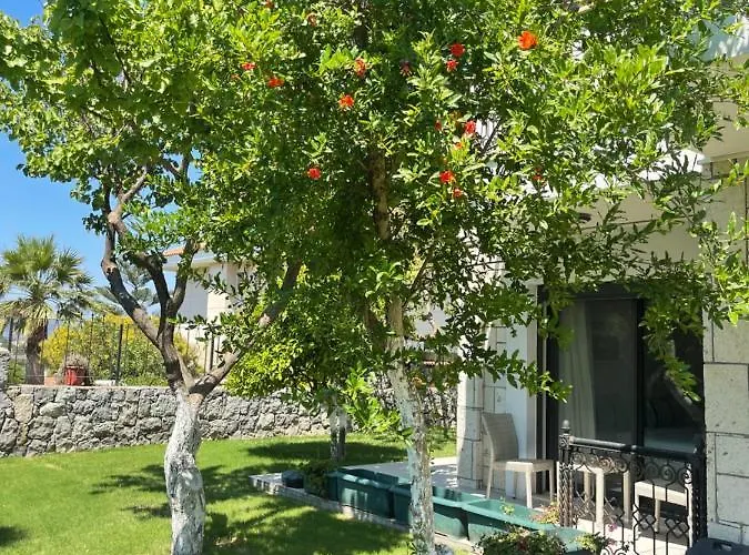 Bed & Breakfast Dalyan Risus