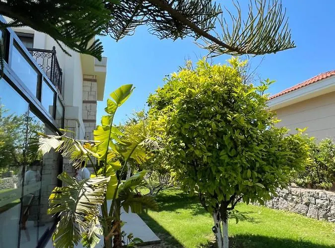 Dalyan Risus Frühstückspension Çeşme